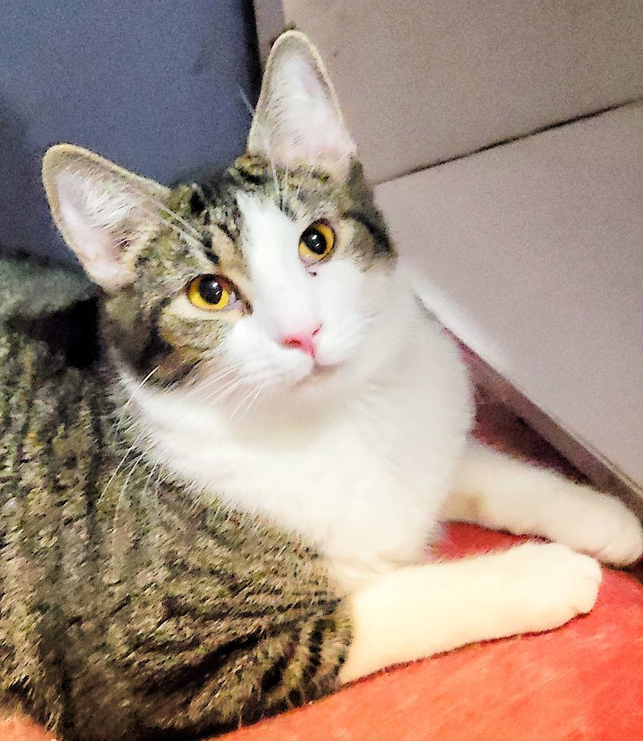 Cheers Norm thumbnail 3