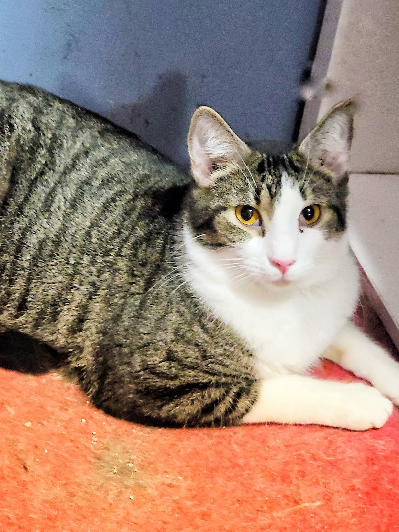 Cheers Norm thumbnail 4