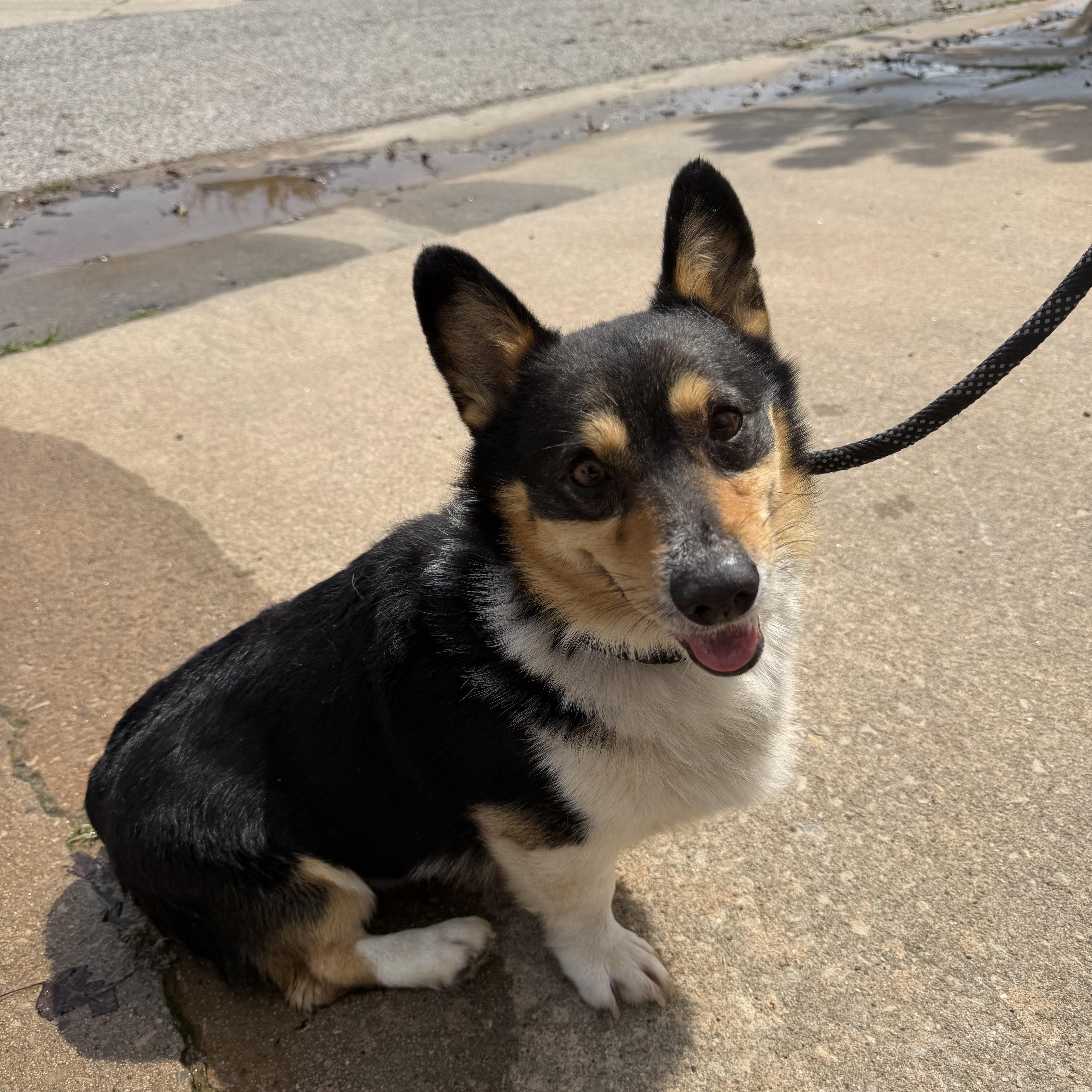 Colonel Mustard — thumbnail 5