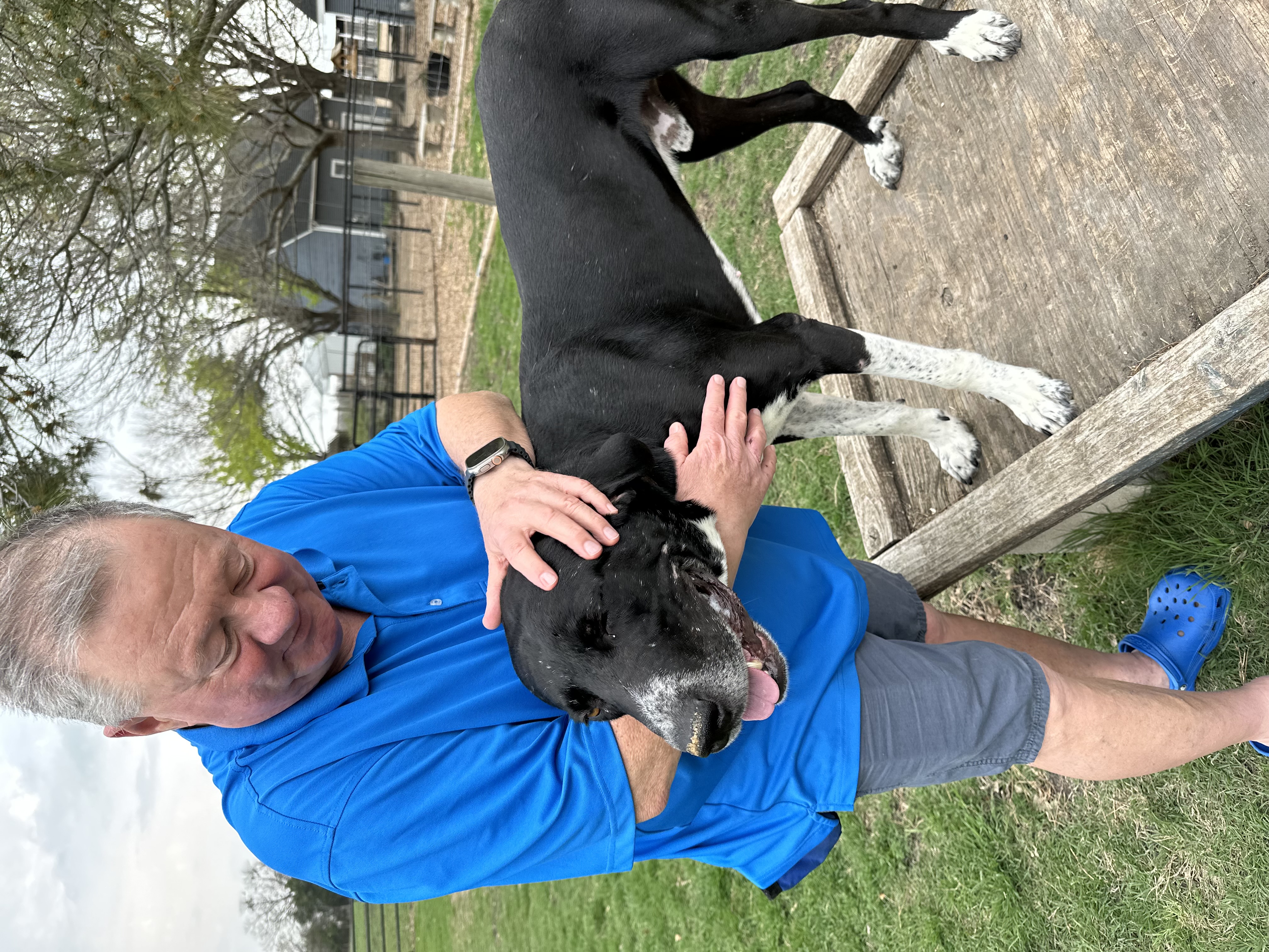 Jack McCoy, a Adoptable mixed breed in Fort Collins , CO image 4/5