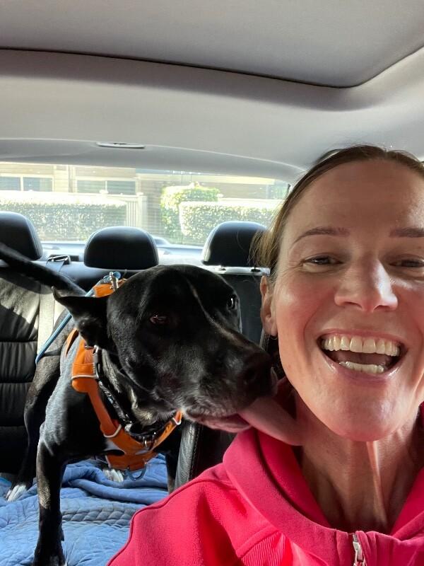 Otto Your Easy Going Friend