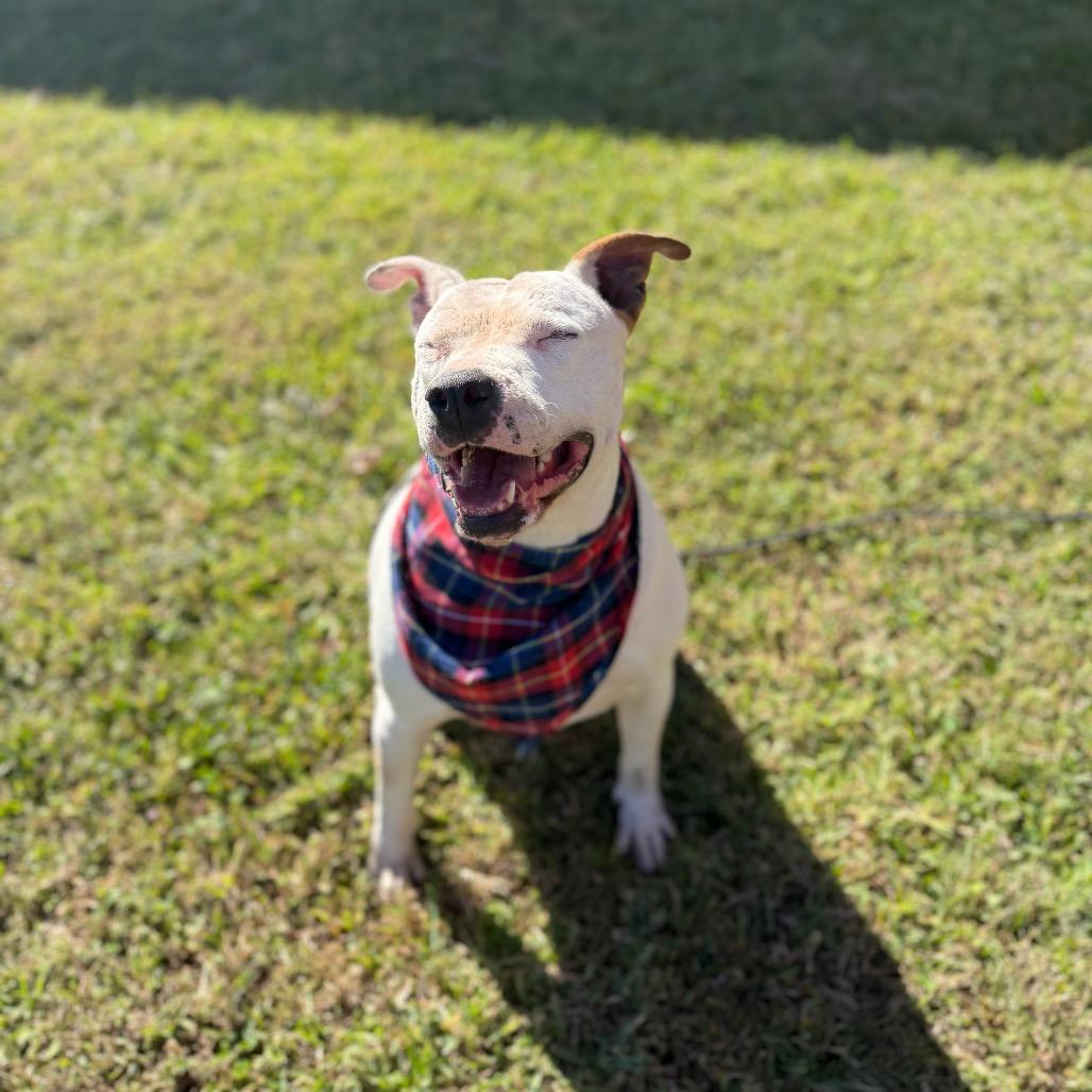 Mazda — thumbnail 4