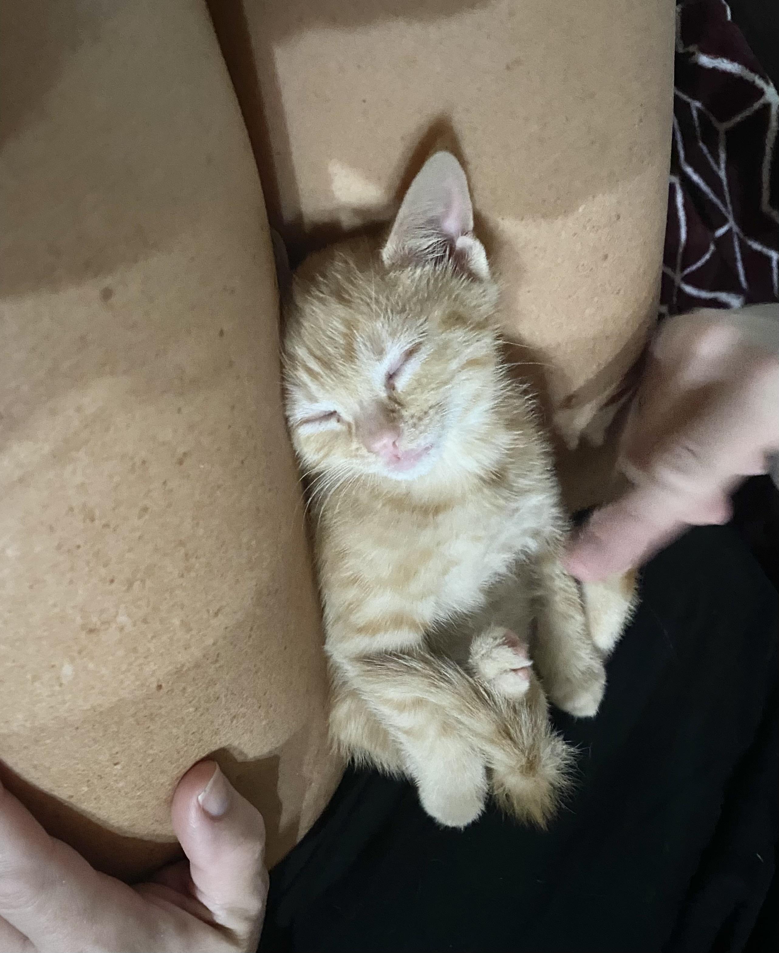 Mig & Tig thumbnail 5