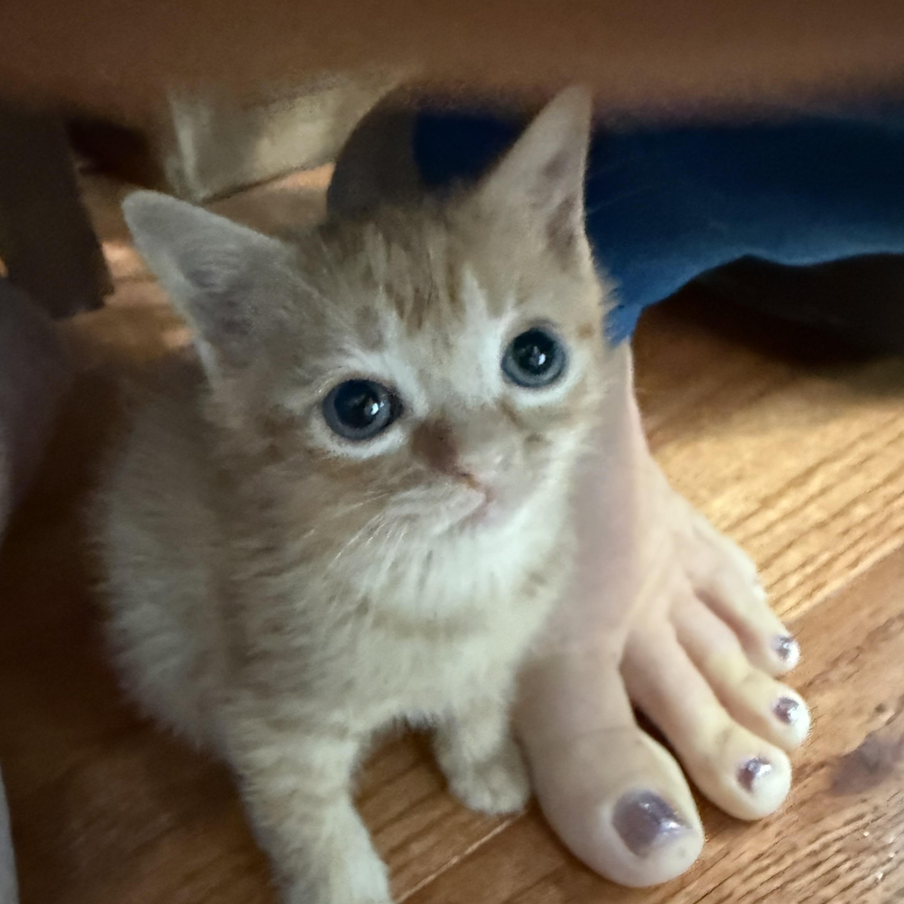 Mig & Tig thumbnail 3