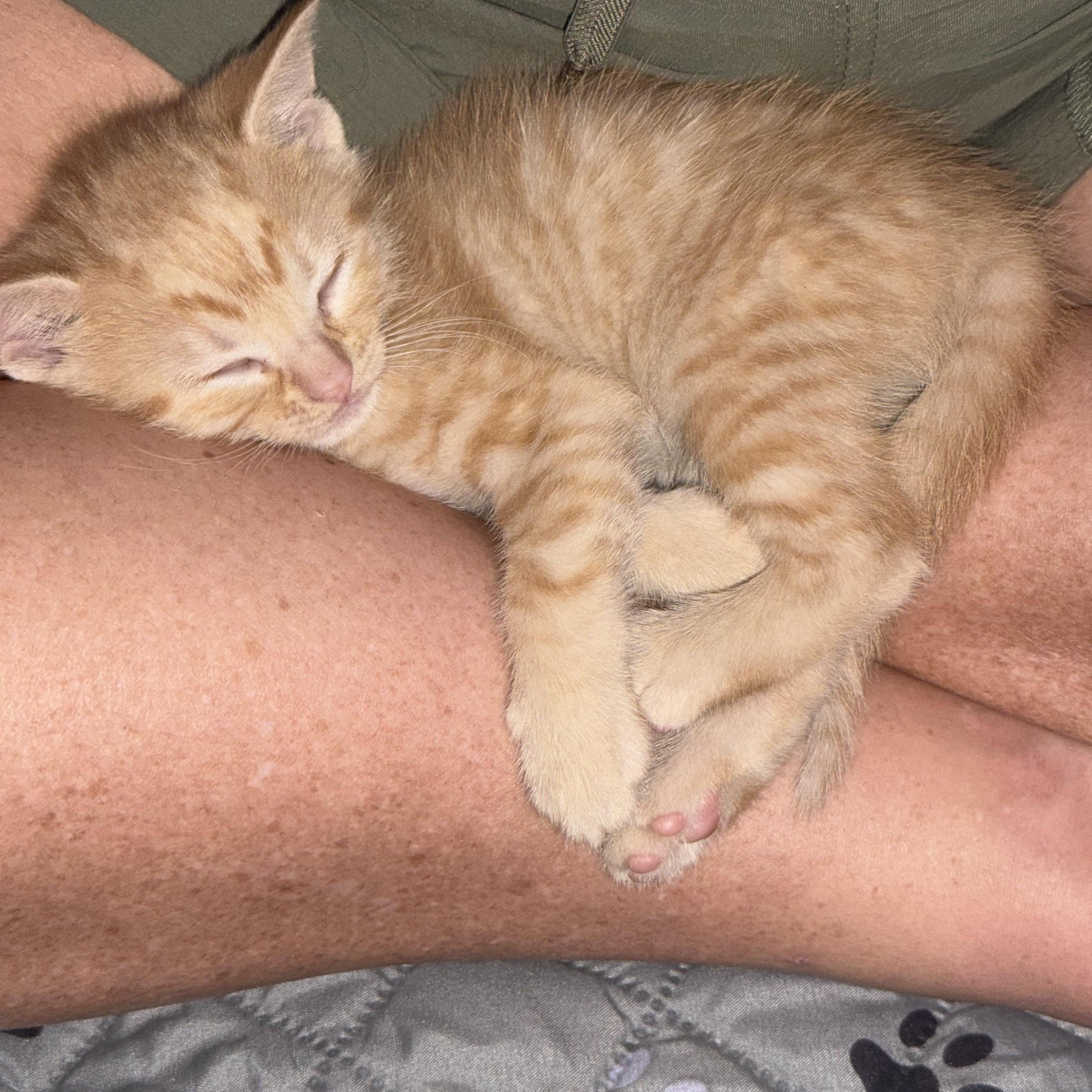 Mig & Tig thumbnail 4