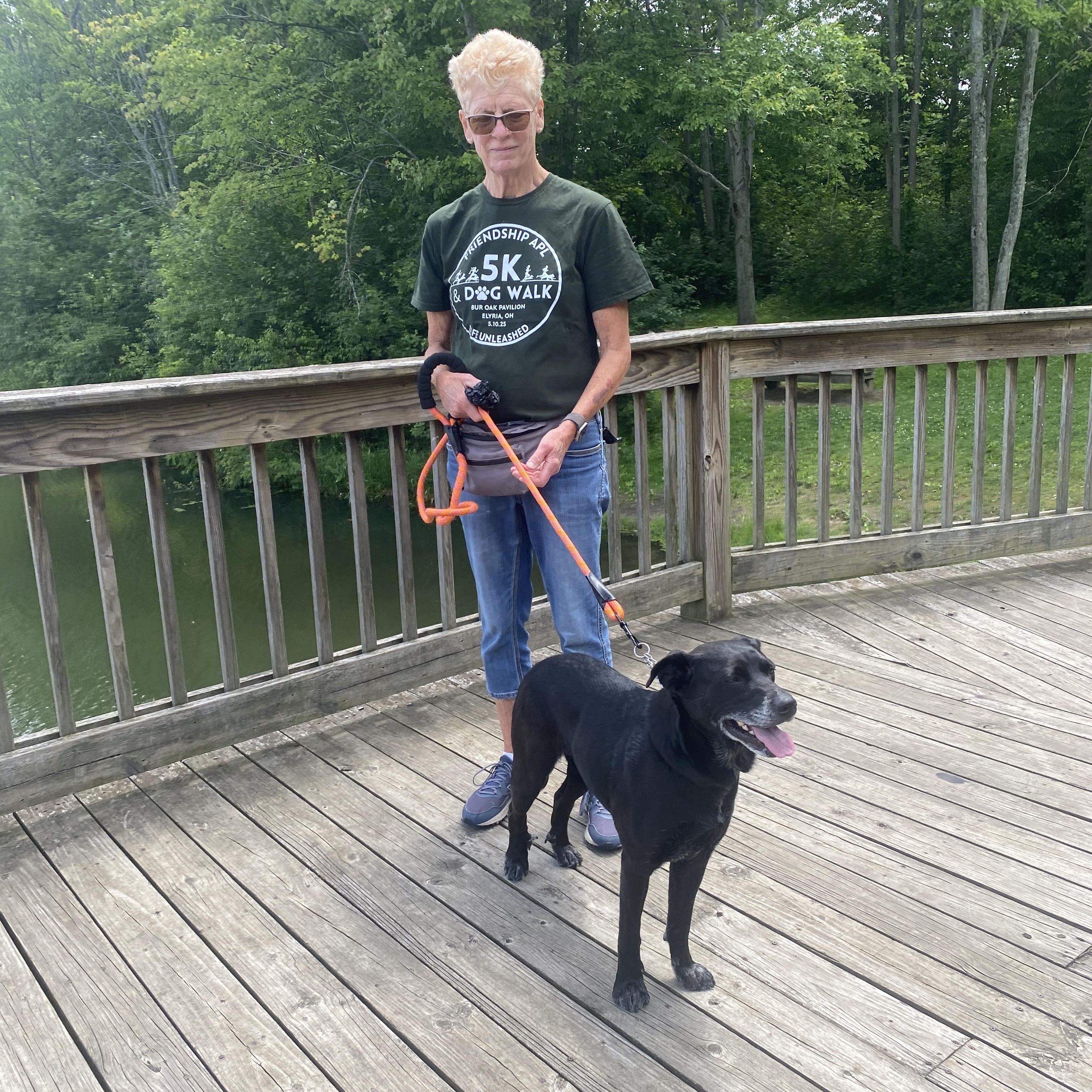Enlarge Judy, a Adoptable mixed breed in Elyria, OH image 1/6