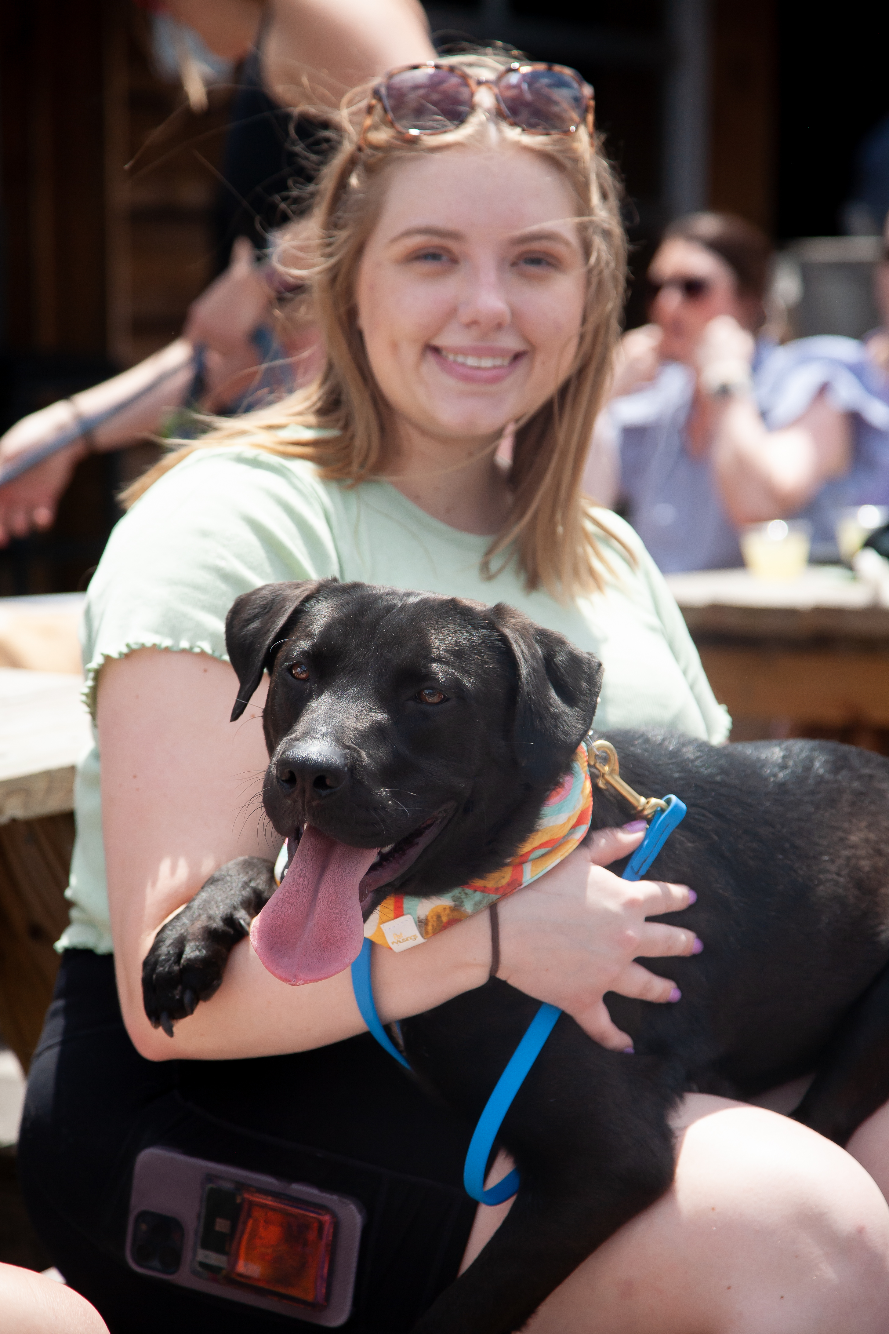Buddy, a Adoptable mixed breed in Murfreesboro, TN image 2/6