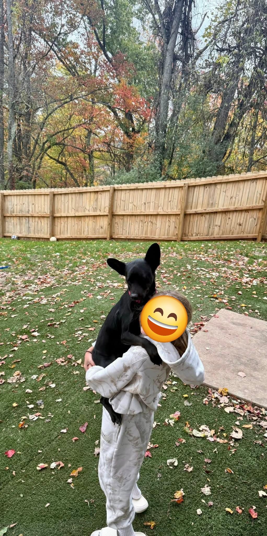 CHARLIE WAFFLES. tinycauseadopt@gmail.com