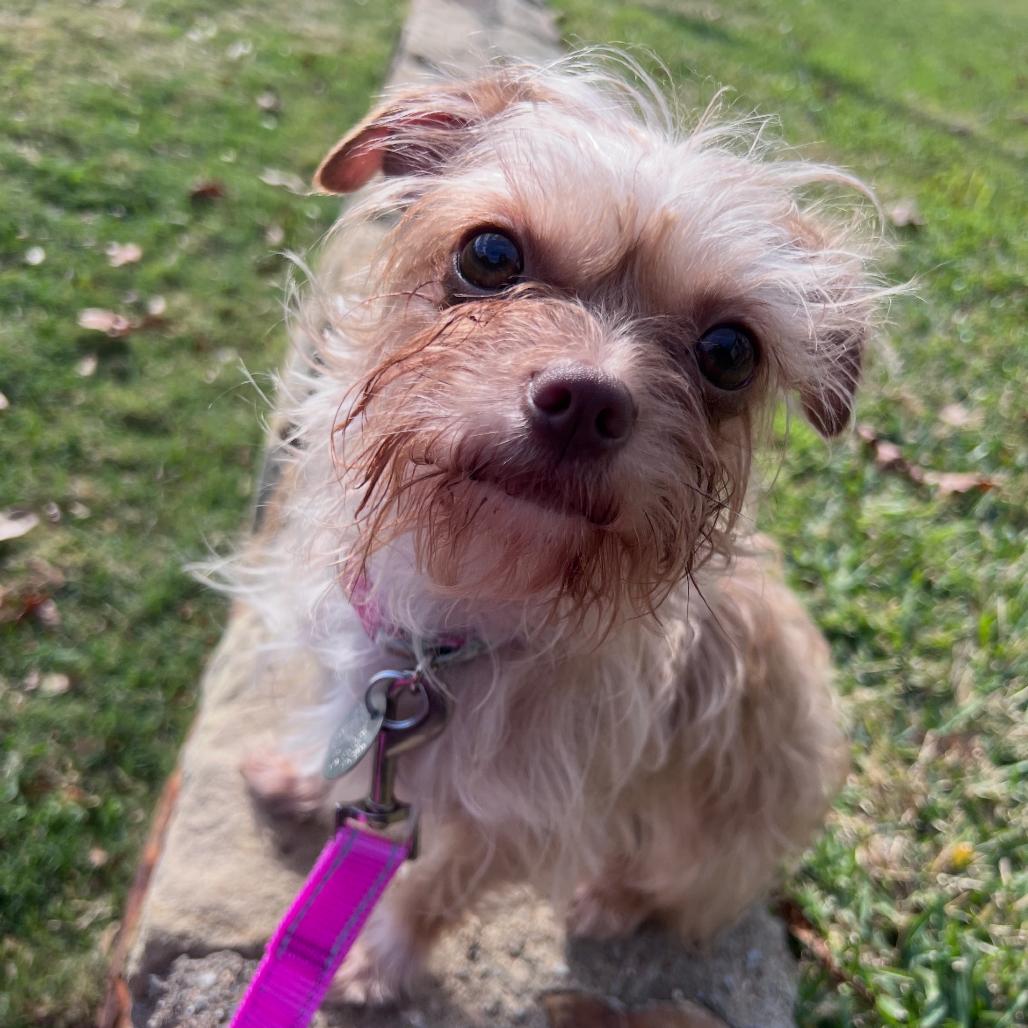 Wendy (Dallas) — thumbnail 2