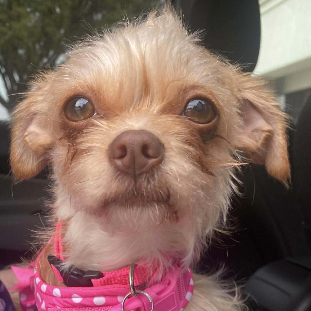 Wendy (Dallas) — thumbnail 3