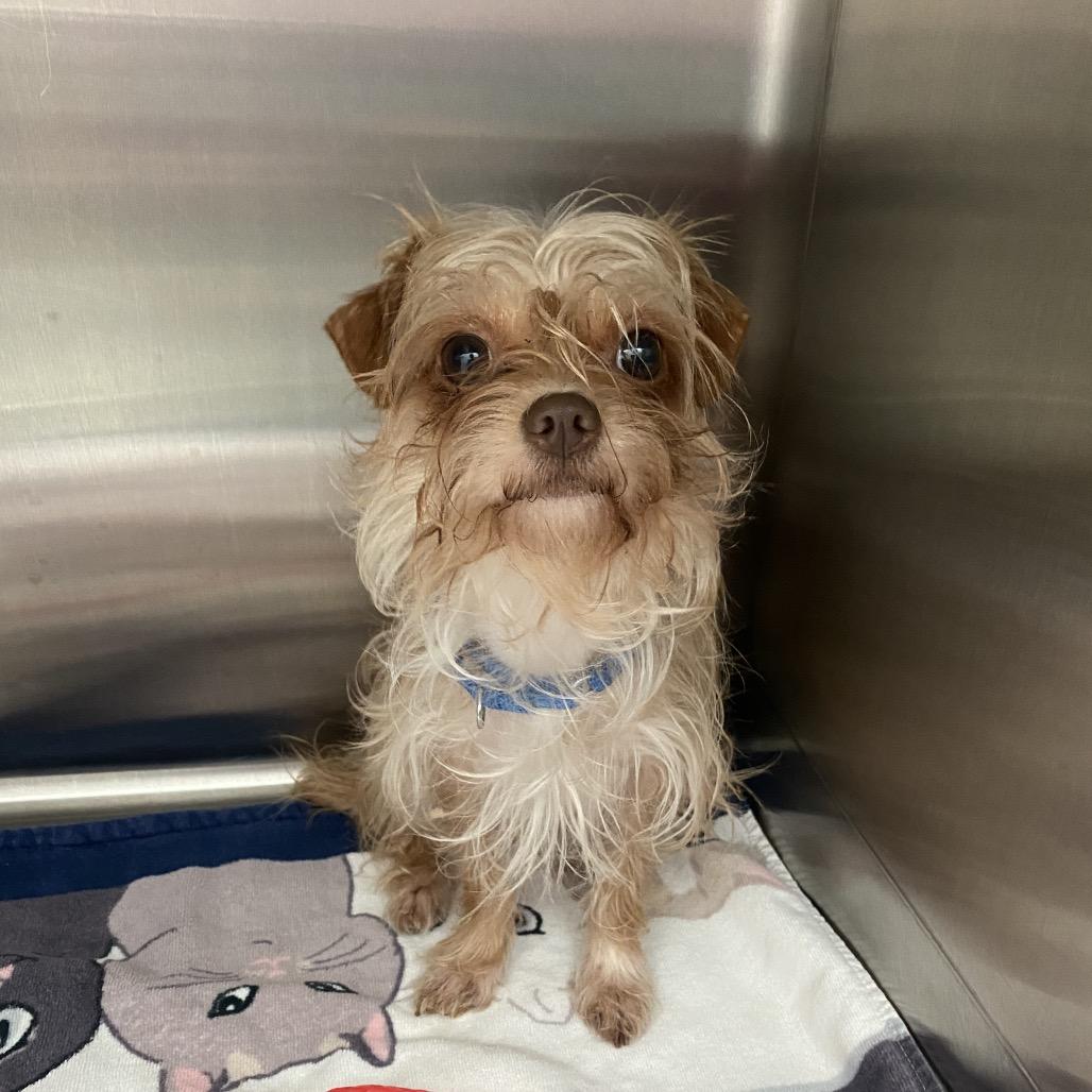 Wendy (Dallas) — thumbnail 5