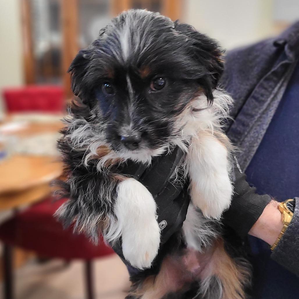 Sparkles thumbnail 3