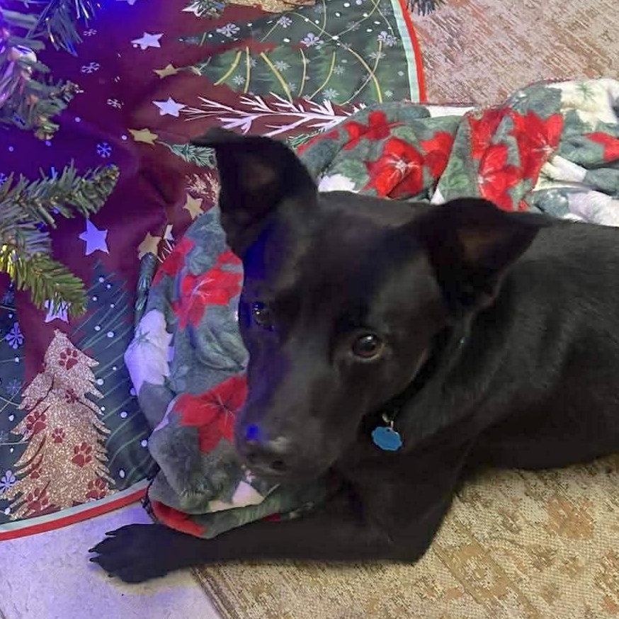 Luke Ellington thumbnail 2