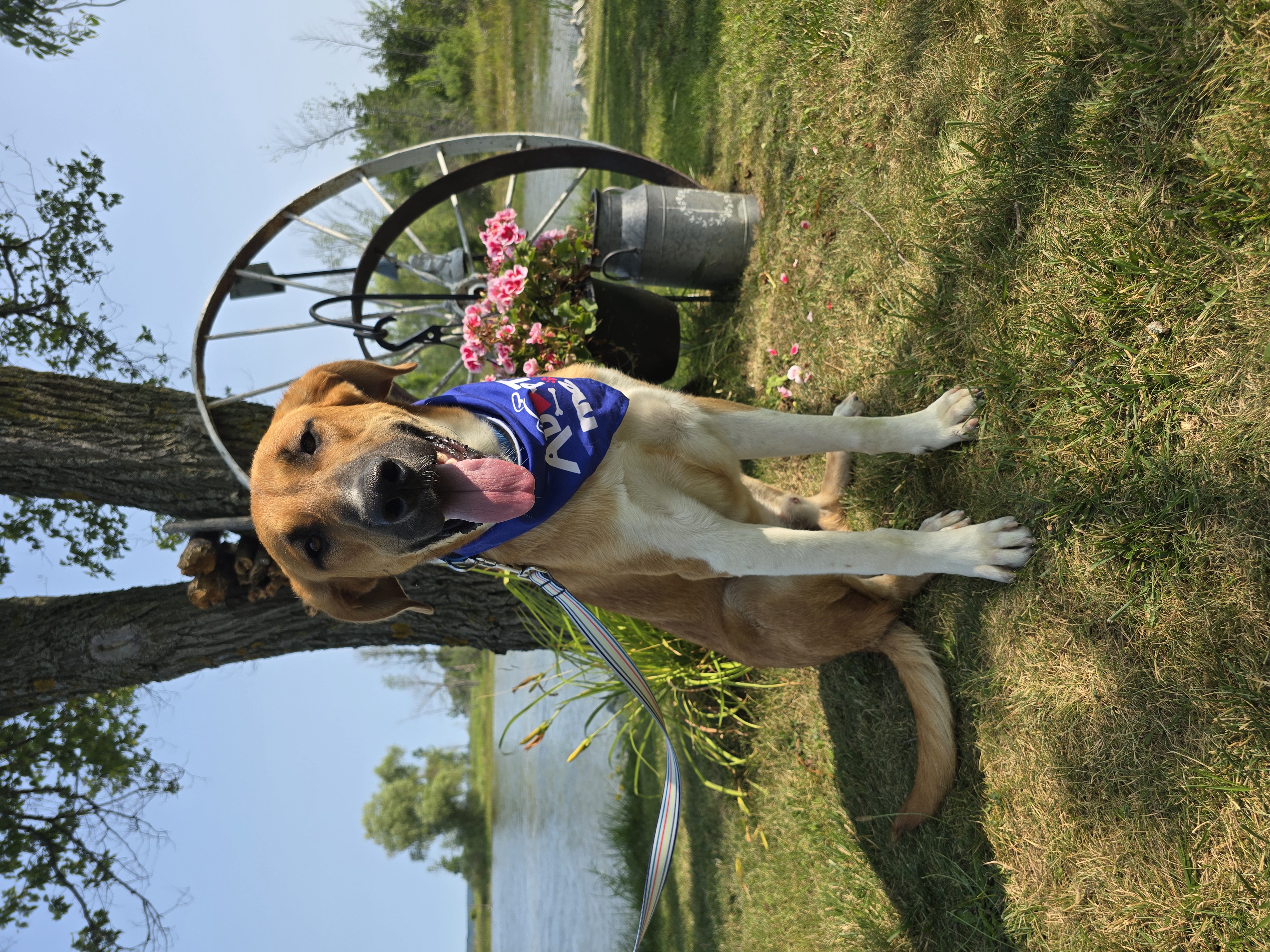 Max