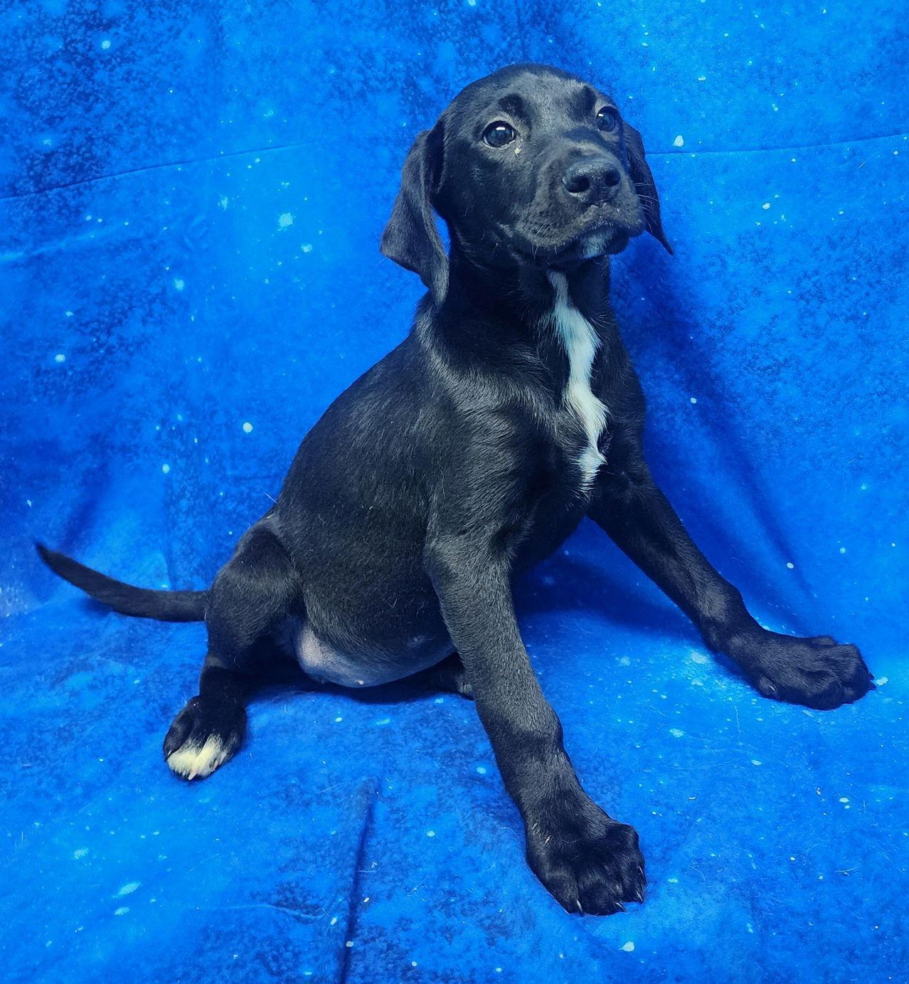 260304 Violet Vanderfeller