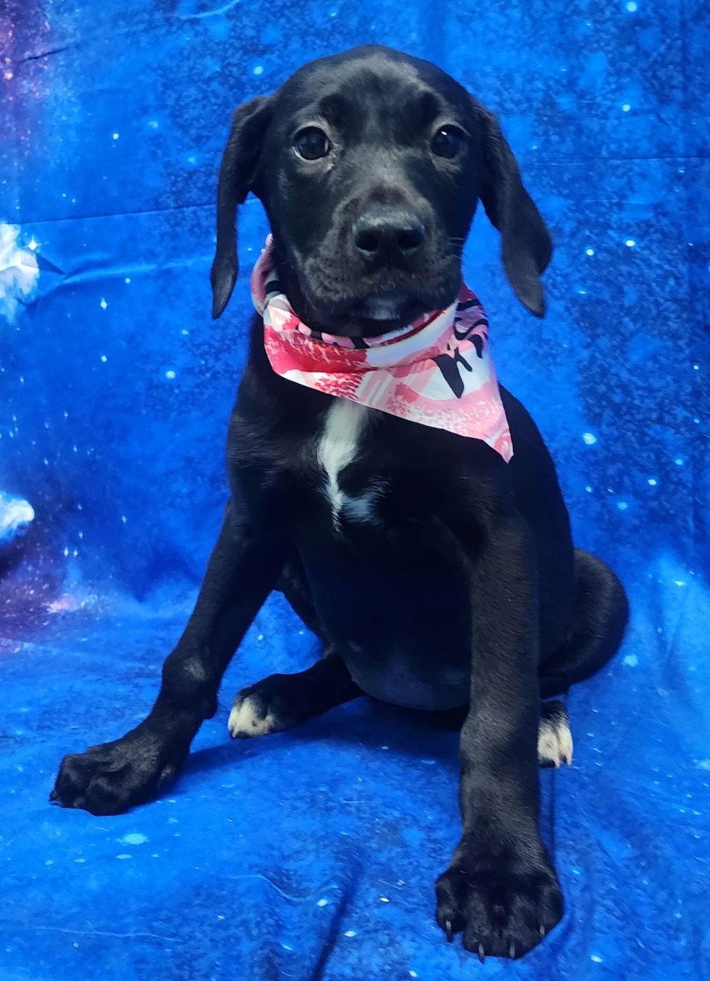 260304 Violet Vanderfeller — thumbnail 2