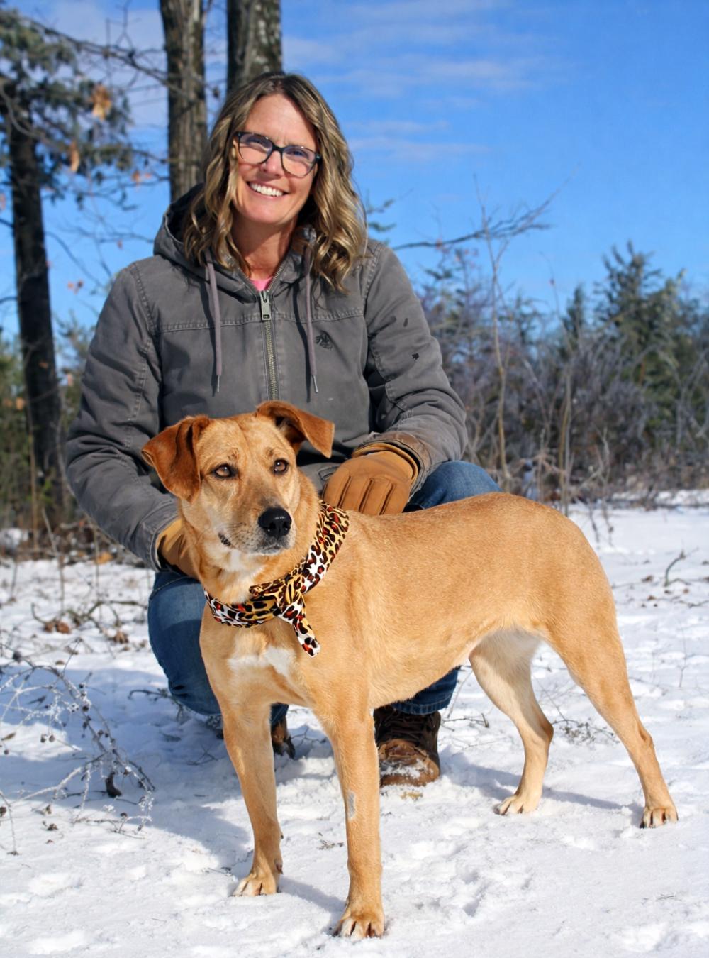 Enlarge Bluey, a ADOPTABLE Mountain Cur in Cheboygan, MI image 5/6