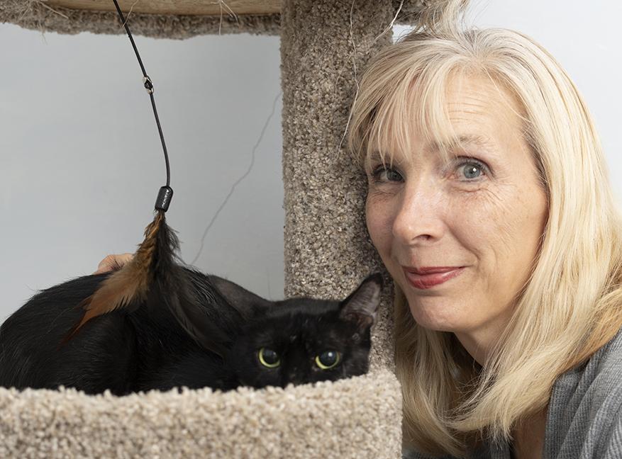 Enlarge Artemis, a ADOPTABLE Domestic Short Hair in Chicago, IL image 3/3