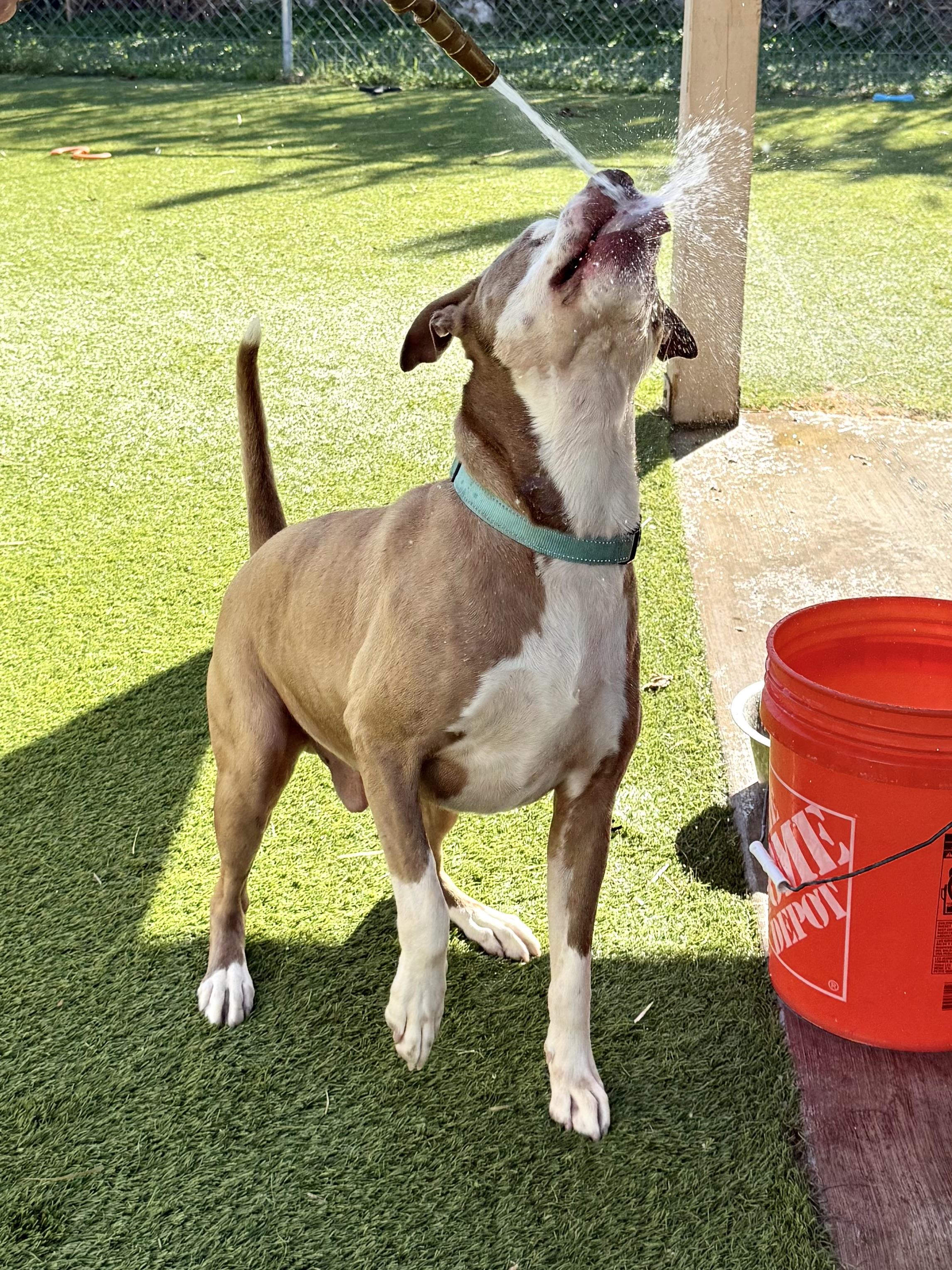 Theodore — thumbnail 3