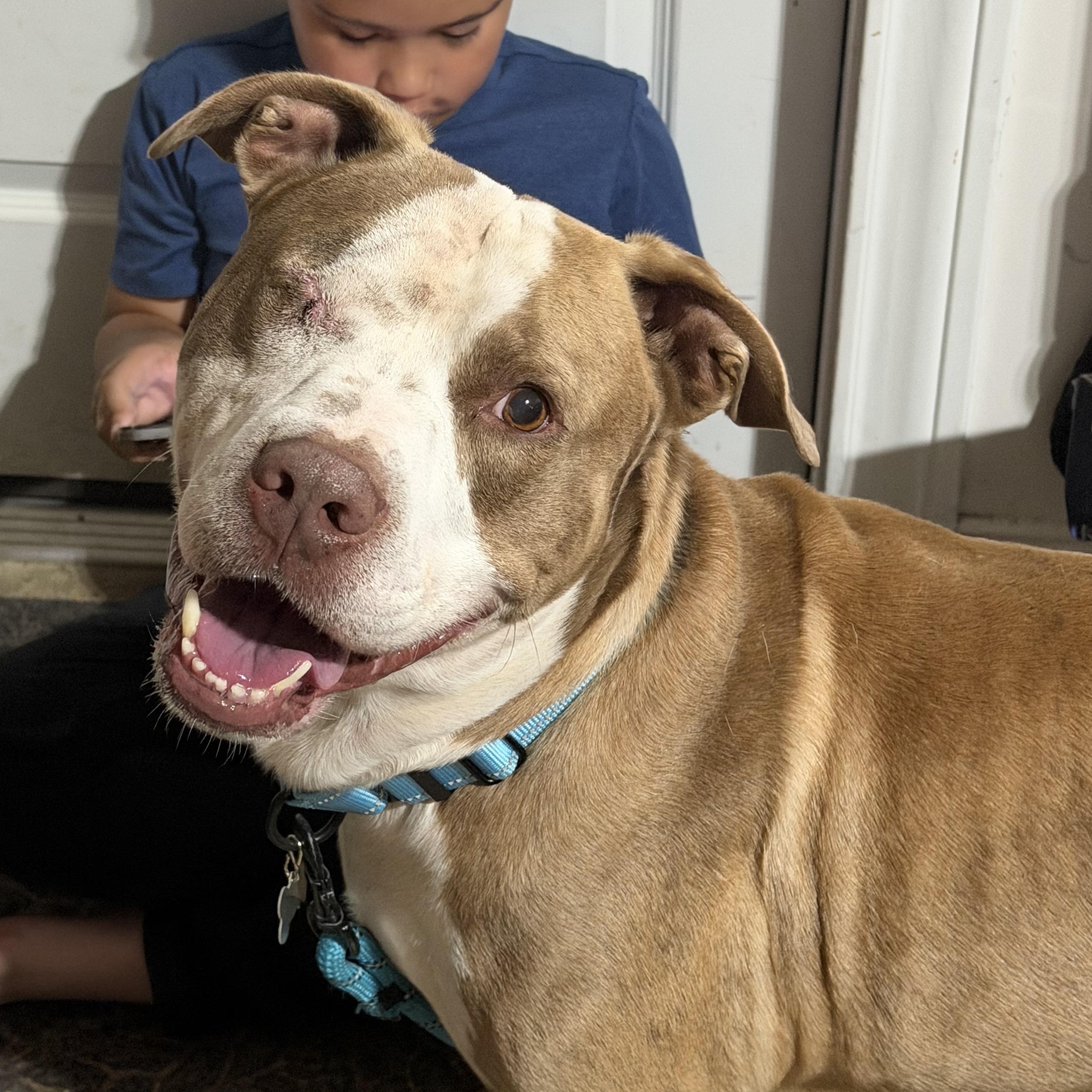 Theodore — thumbnail 5