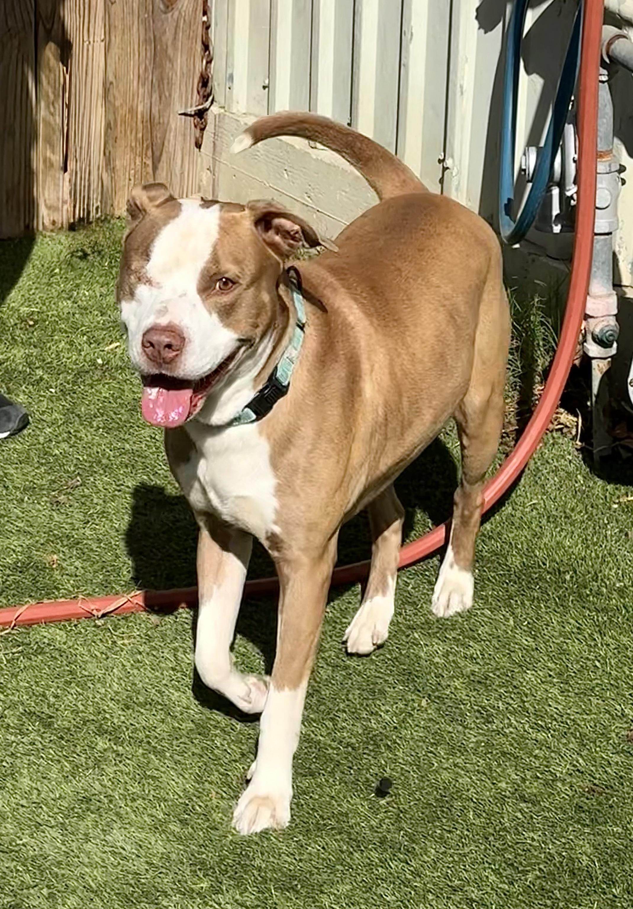 Theodore — thumbnail 6