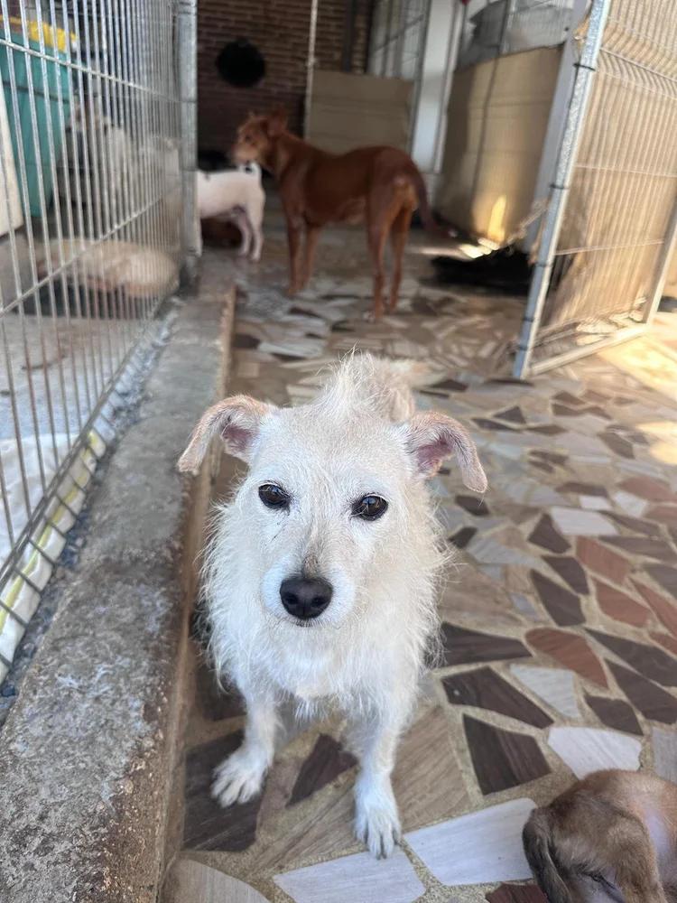 Mimi — thumbnail 3