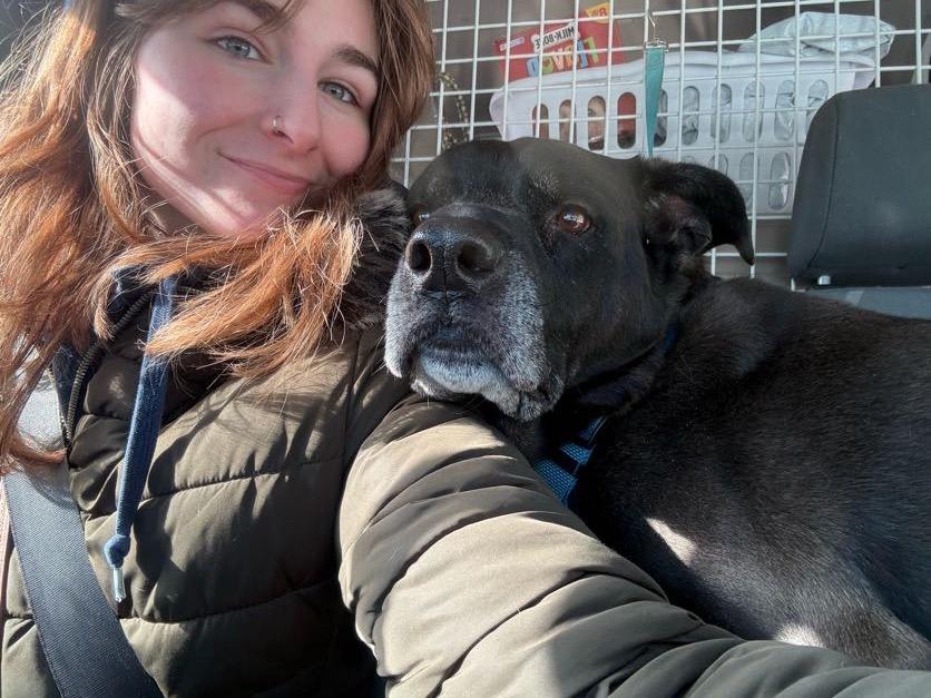 Enlarge Dozer and Minni, a ADOPTABLE mixed breed in New Boston, NH image 2/6