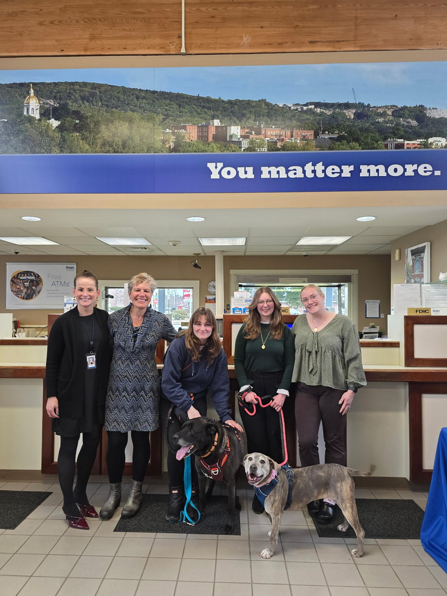 Dozer and Minni, ADOPTABLE, Adult Female Mixed Breed.