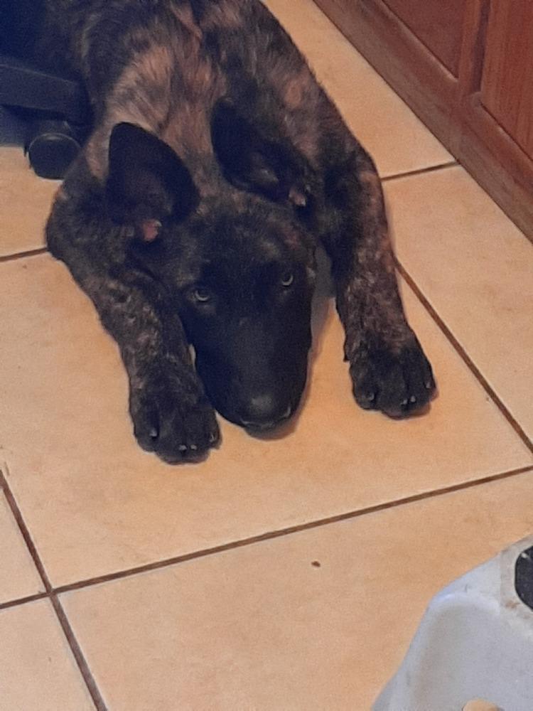 Sully Jr Located In thumbnail 3