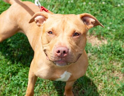 Honey — thumbnail 2