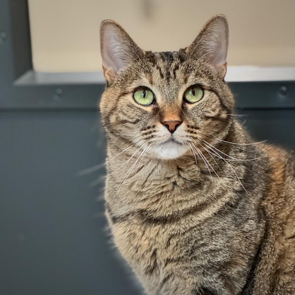 Cassy — thumbnail 2