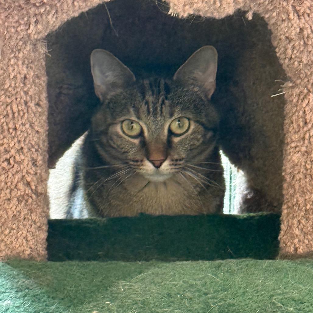 Cassy — thumbnail 3