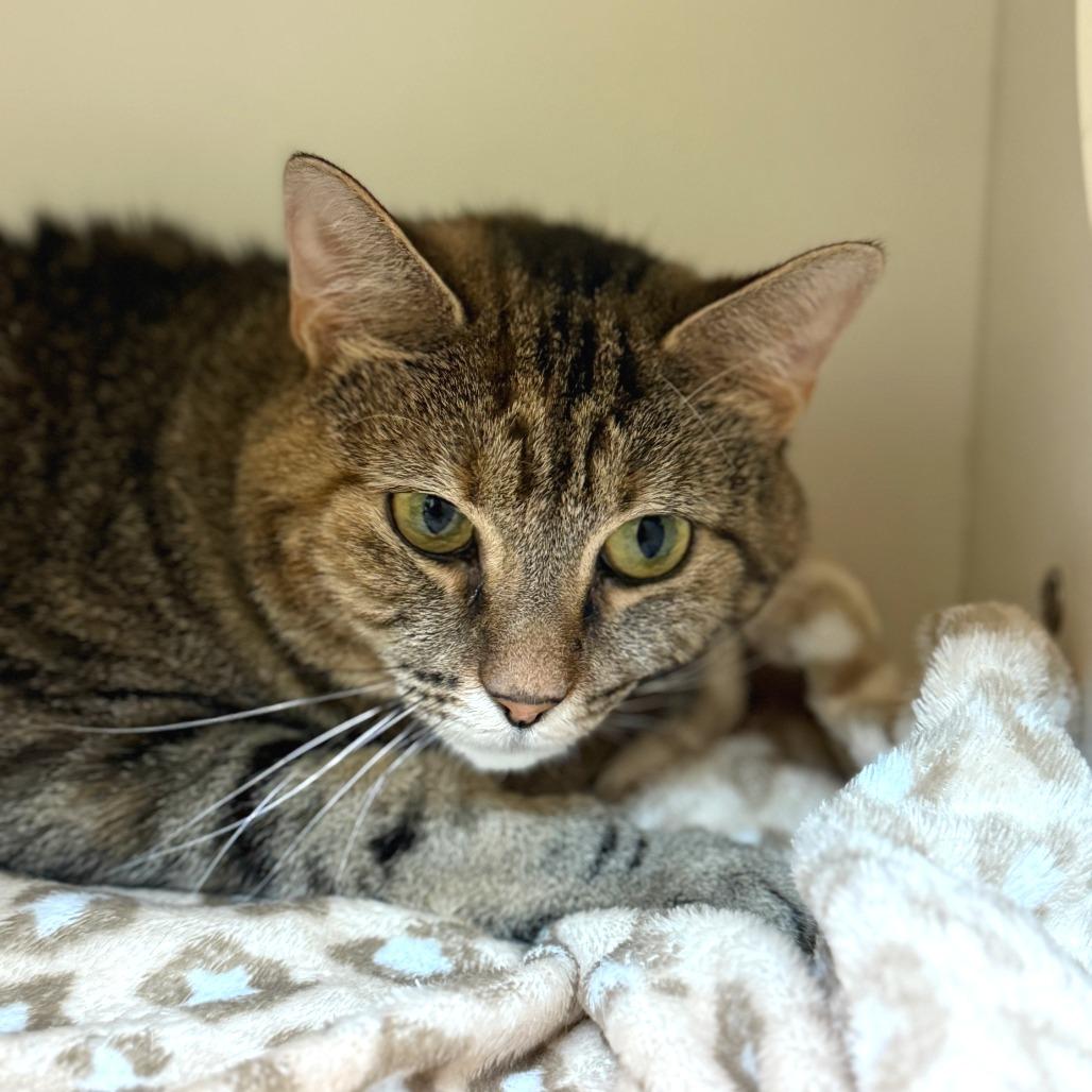 Cassy — thumbnail 4