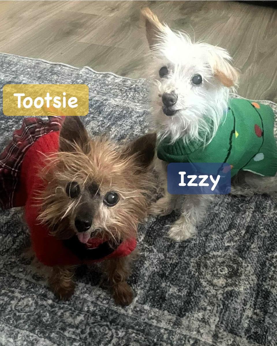 Tootsie & Izzy thumbnail 3