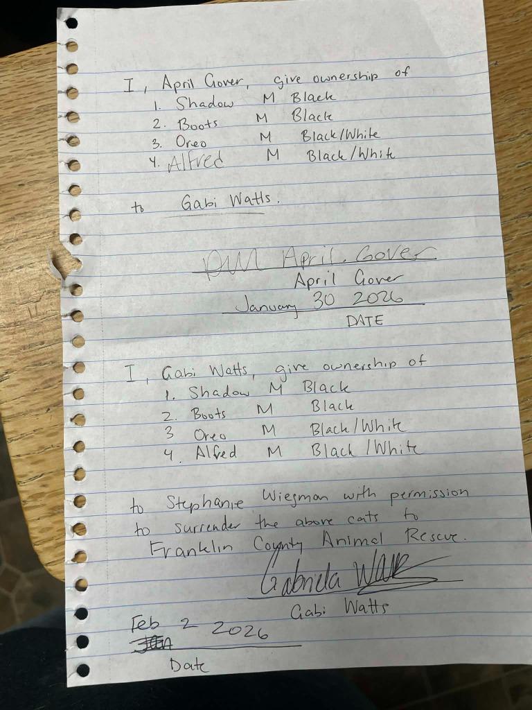 Enlarge Jeff, a Adoptable mixed breed in St. Albans, VT image 3/3