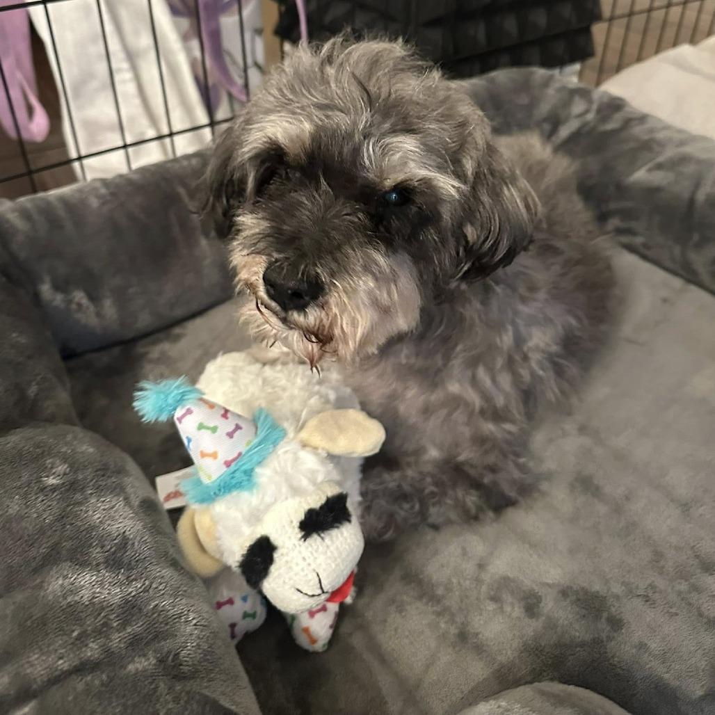 Walter — thumbnail 3