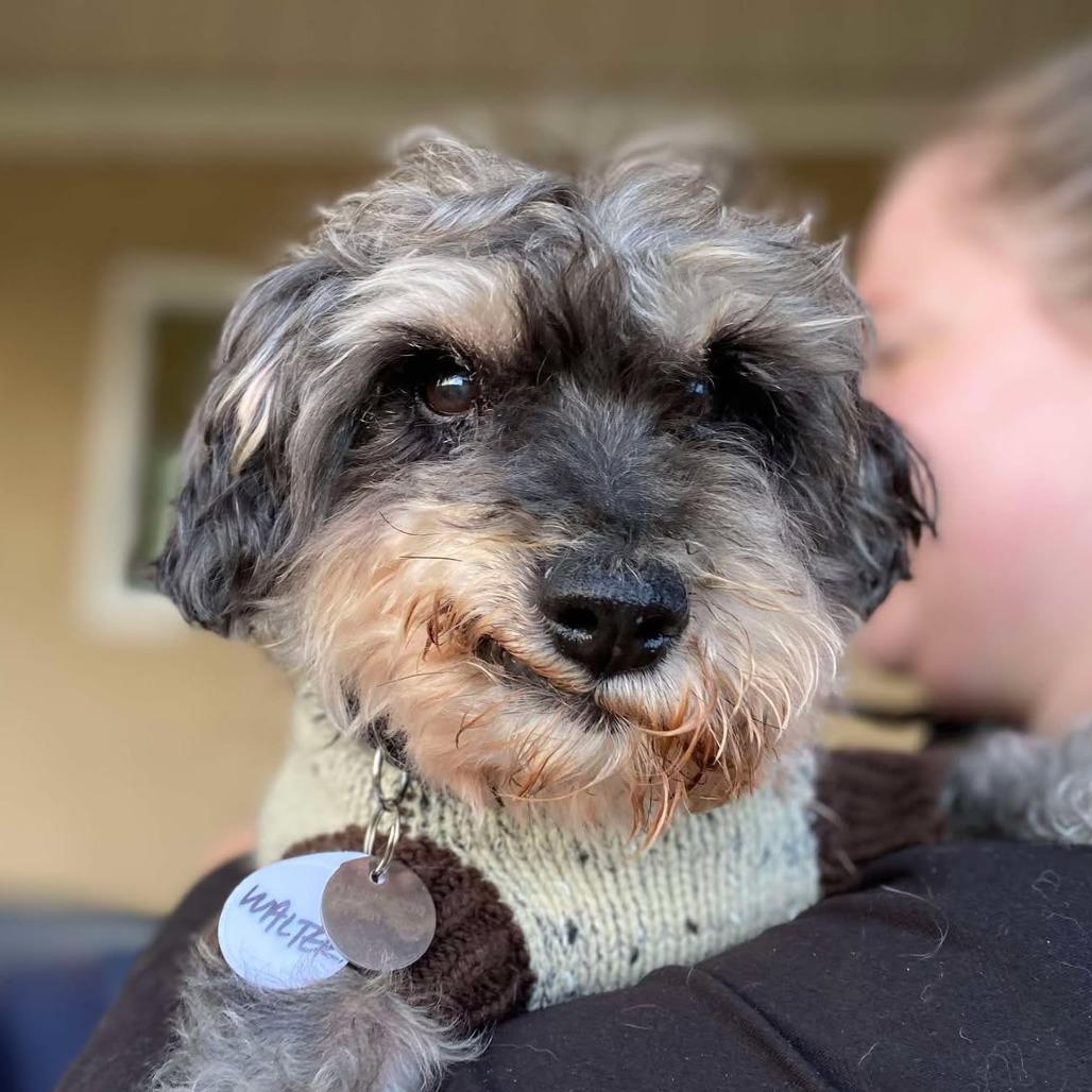 Walter — thumbnail 6