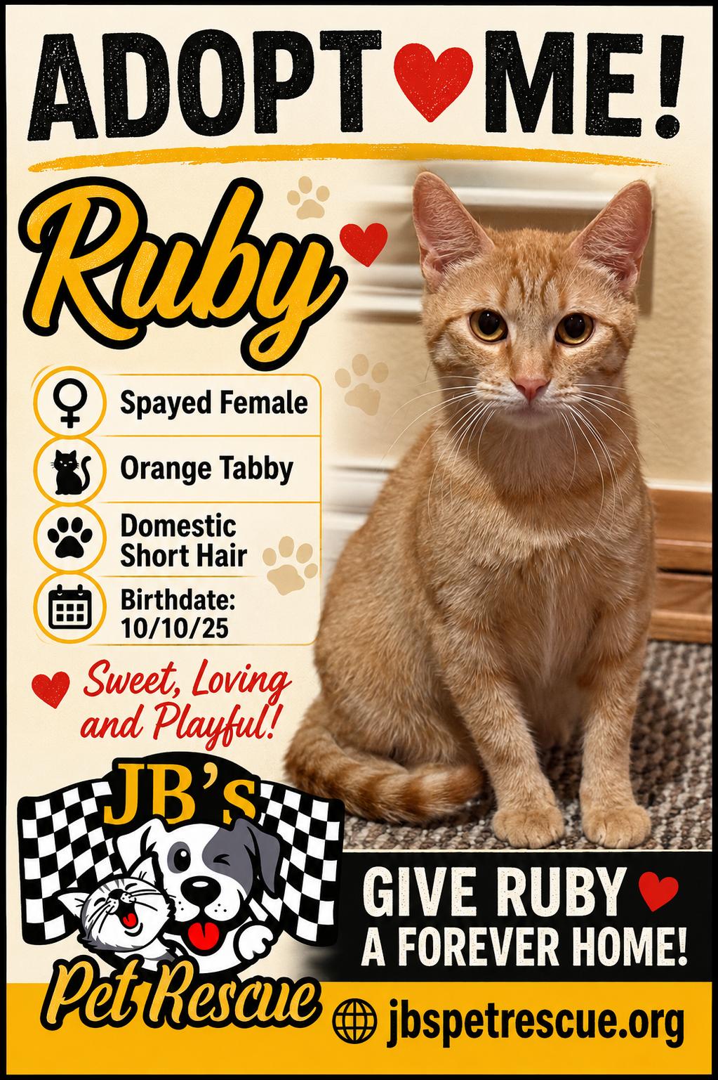 Enlarge Ruby, a Adoptable mixed breed in Mesquite, TX image 2/2