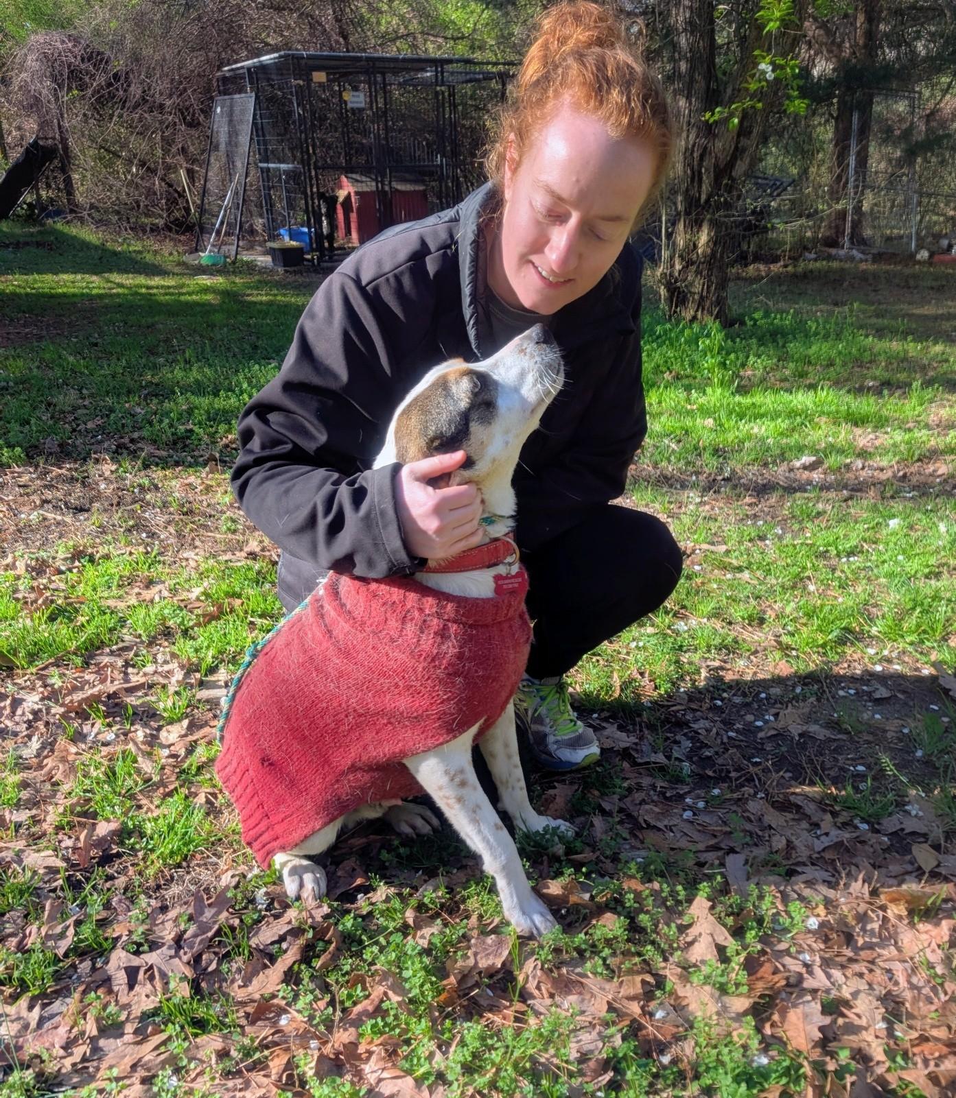 Enlarge Beau - AVAILABLE TO FOSTER OR ADOPT, a ADOPTABLE mixed breed in Clayton, NC image 5/5