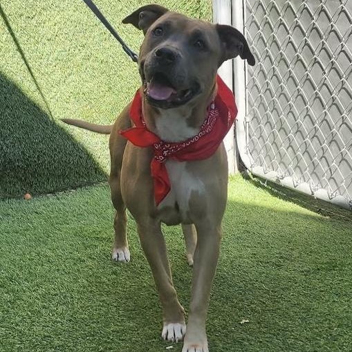 Charlene — thumbnail 6