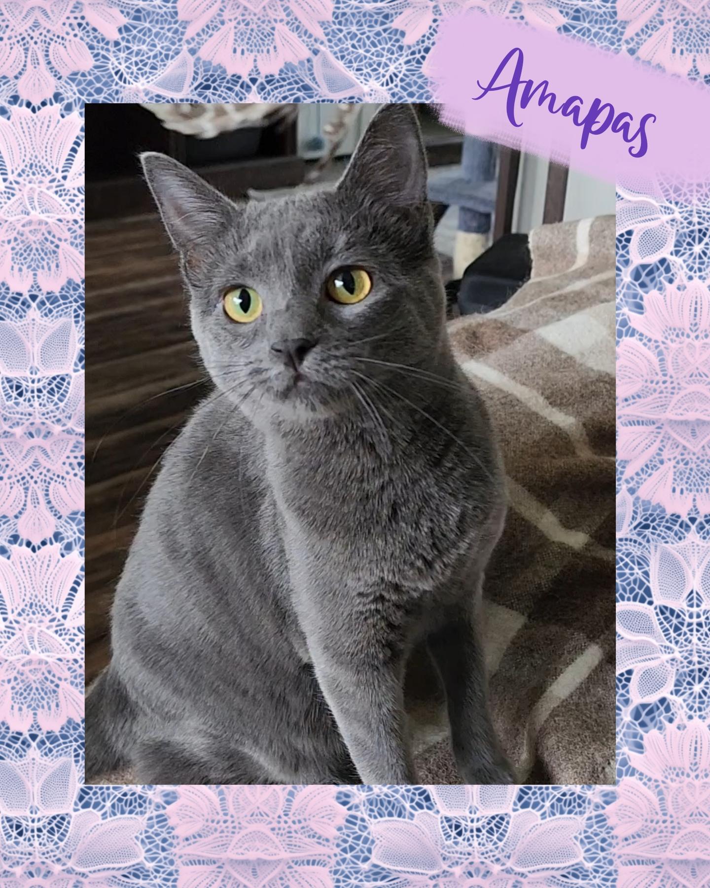 Amapas