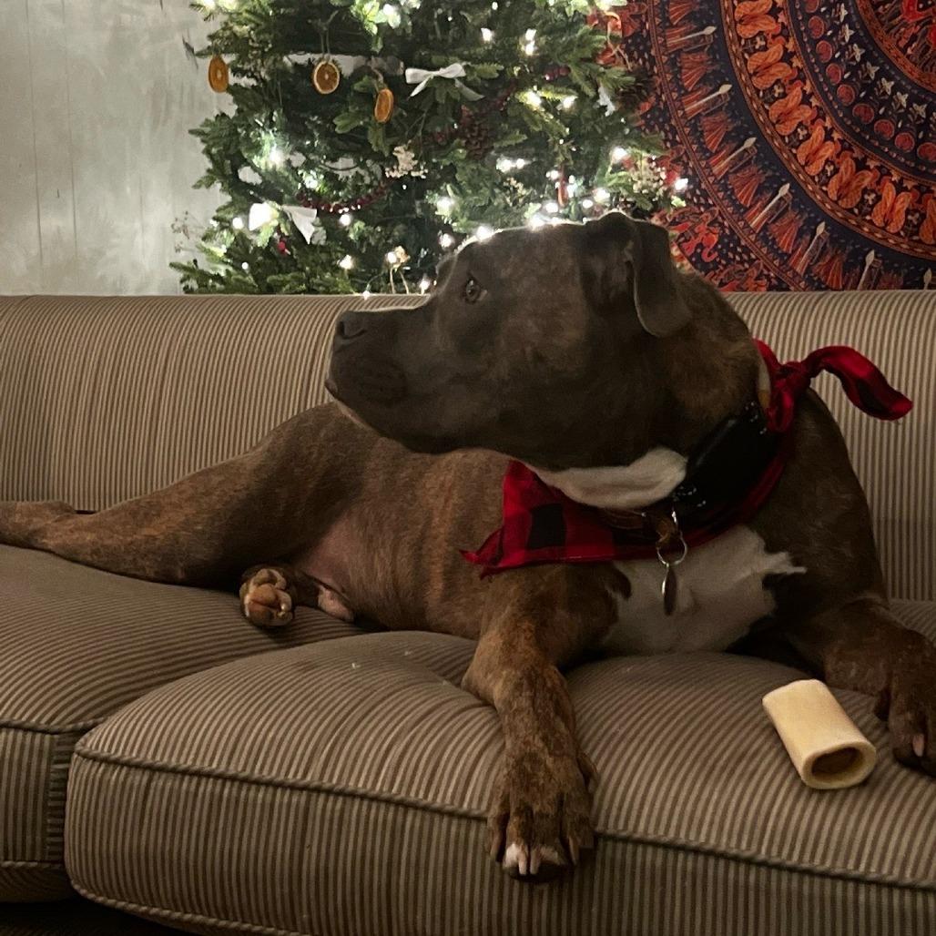 Nikko — thumbnail 6