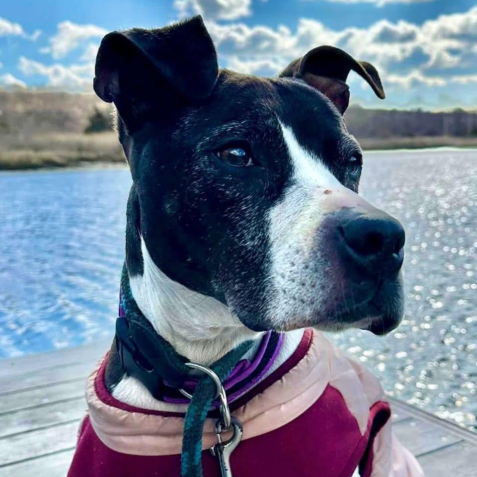 Ariel, Senior Female unknown