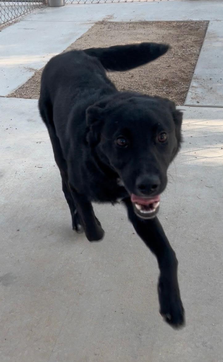 Benny photo 2