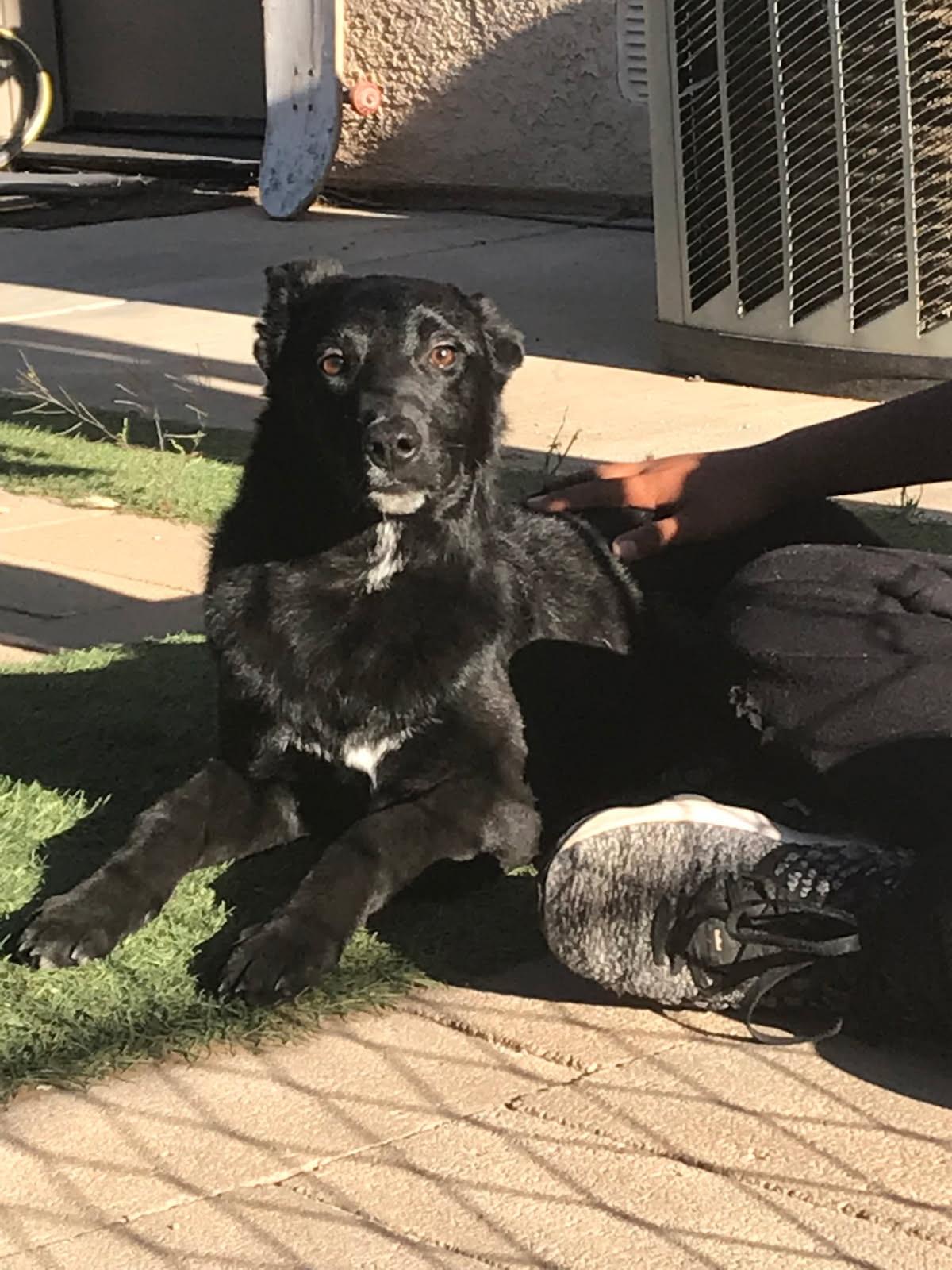 Benny