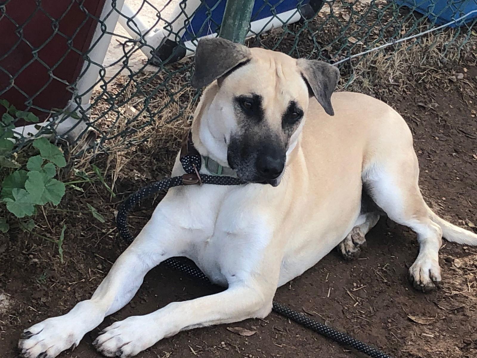 Marcus — thumbnail 3