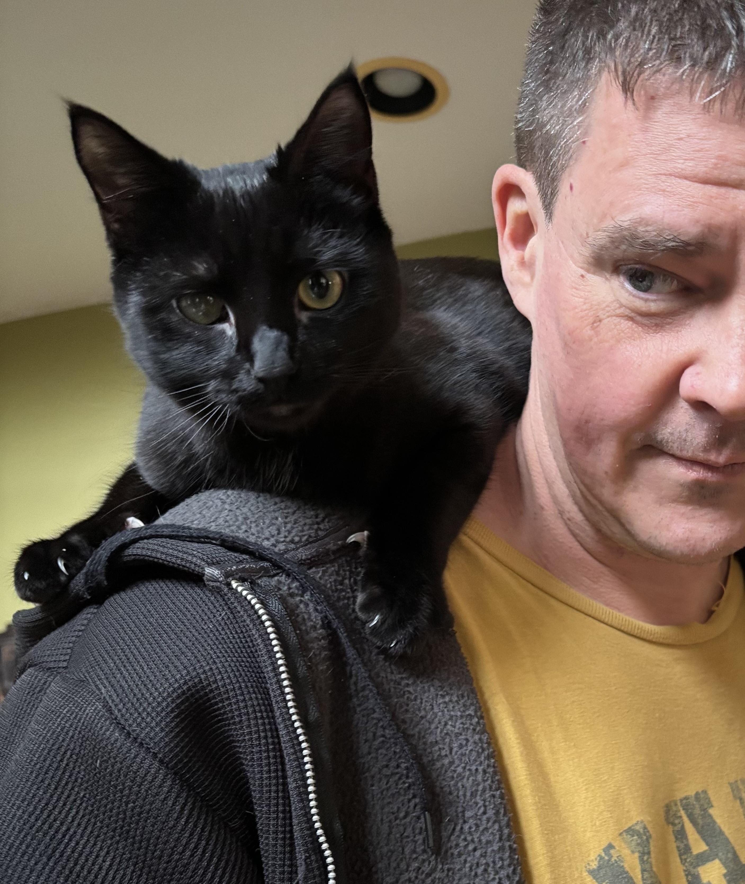 Bonnie (Eye Patch Litter), a Adoptable mixed breed in Baltimore, MD image 3/4