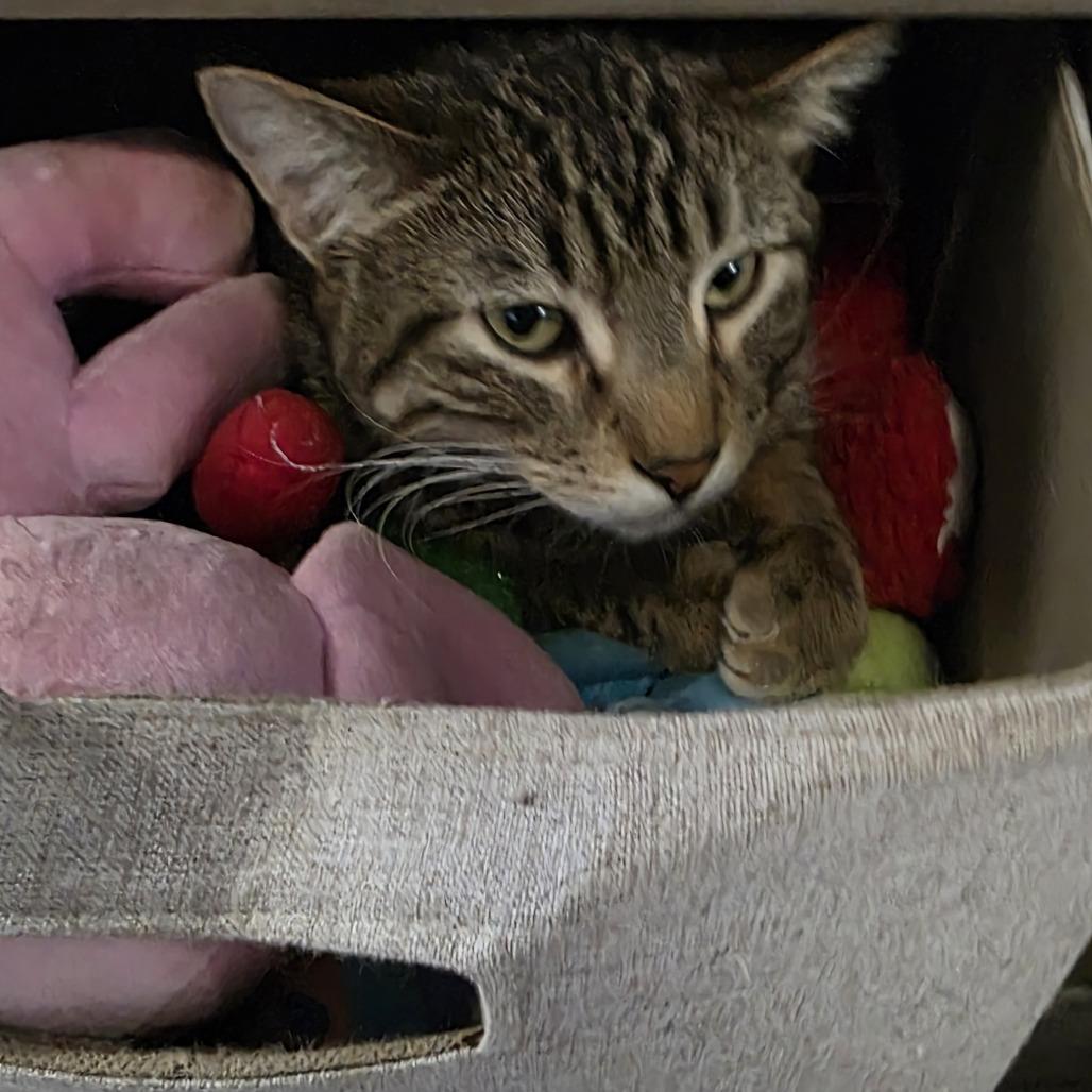 Lucky Day — thumbnail 2