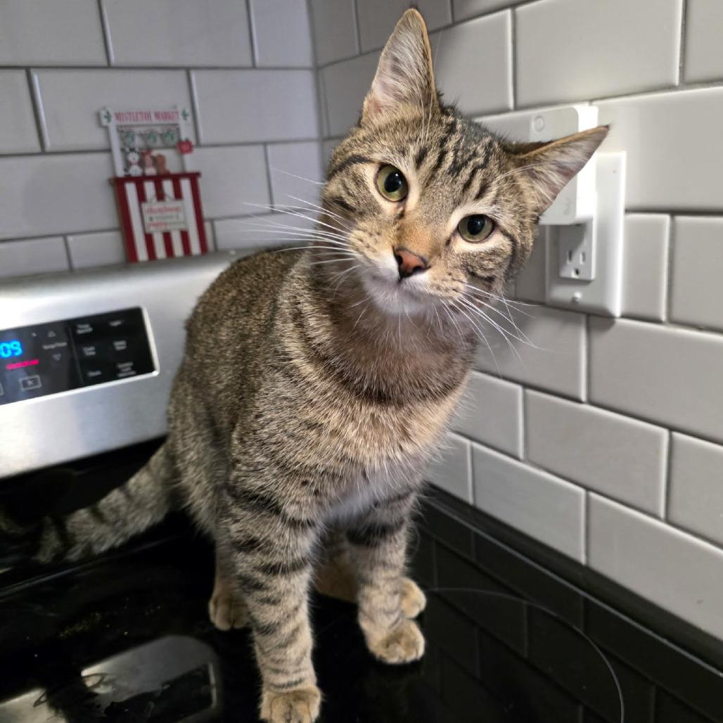 Lucky Day — thumbnail 3