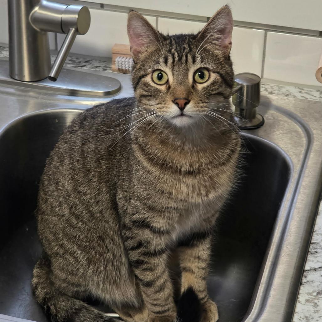 Lucky Day — thumbnail 4